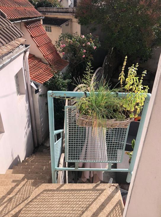 דירות מאנטנו Kasaloc מראה חיצוני תמונה